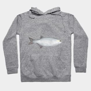 Goldeye Hoodie